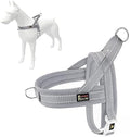Plutus Pet No Pull Dog Harness for Small Dogs, Breathable Mesh Padded by PLUTUSPET