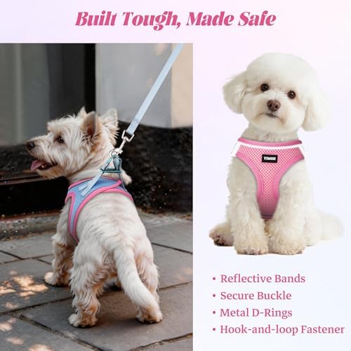 No Pull Dog Puppy Harness and Leash Set Reflective Mesh Vest XX-Small - Image 5