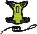 Voyager Step-in Lock Cat Harness & Leash Set by BestPetSuppliesLLC