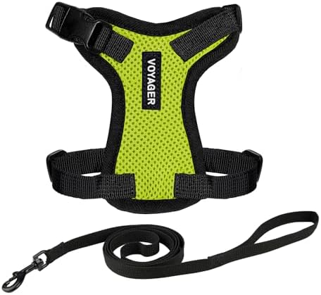 Voyager Step-in Lock Cat Harness & Leash Set by BestPetSuppliesLLC