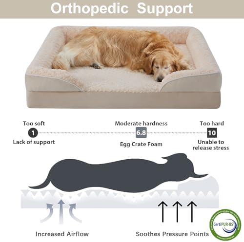 WNPETHOME Orthopedic Washable XXL Dog Bed - Image 3