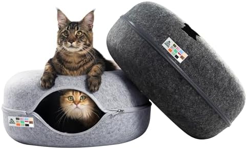 Cattasaurus Peekaboo Cat Cave Donut by Cattasaurus