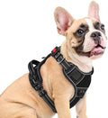 Eagloo Dog Harness No Pull for Medium Dogs, Easy On & Off by GoExplorewithEagloo
