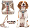 PUPTECK Dog Harness, Collar and Leash Set No Pull by PUPTECK