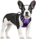 rabbitgoo Dog Harness, No Pull for Small Dogs by rabbitgoo