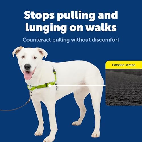PetSafe Deluxe Easy Walk No Pull Dog Harness, Apple Green, Medium/Large - Image 4