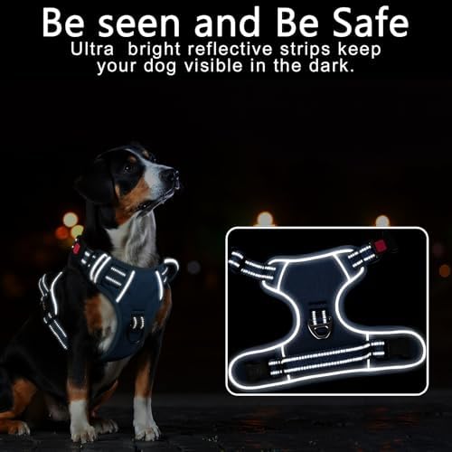 Timos Small Dog Harness, No Pull No Choke, Easy On & Off, Royal Blue - Image 2