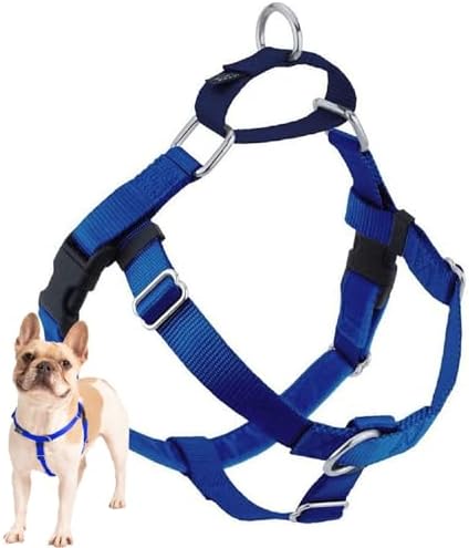 2 Hounds Design Freedom No Pull Dog Harness, 1 inch LG, Royal Blue by 2HoundsDesign