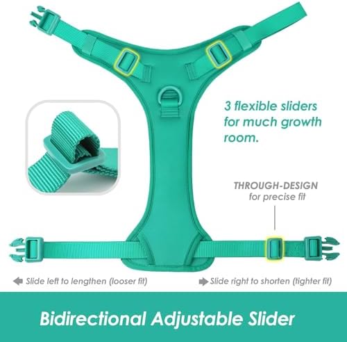 Sunraymascota No Pull Dog Harness - Image 6