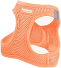 Pastel Step-In Harness for Small Dogs by DowntownPetSupply