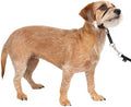PetSafe Gentle Leader No Pull Dog Headcollar by PetSafe