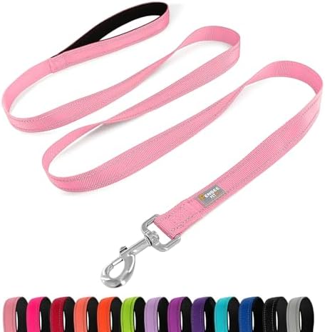 6 FT Basic Dog Leash for Large Dogs by Penseepet