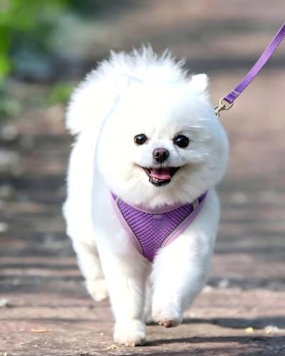 S Purple Soft Mesh Dog Harness and Leash Set, No Escape Puppy Harnesses - Image 2
