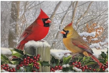Giwawa Winter Birds Bath Rug Red Berry Washable Bathroom Mat 24x35 Inch Indoor by Giwawa