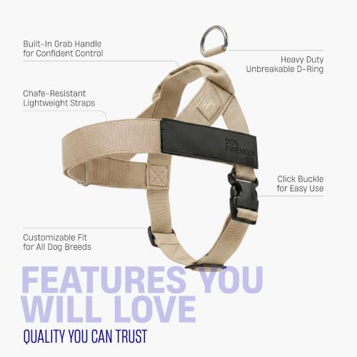 Dog Friendly Co. Dog Harness for Medium Sized Dogs - Image 5