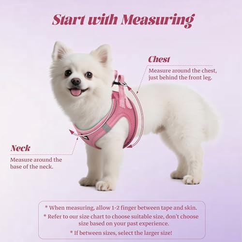 YIMEIS Dog Harness and Leash Set, No Pull Soft Mesh Pet Harness, Reflective - Image 2