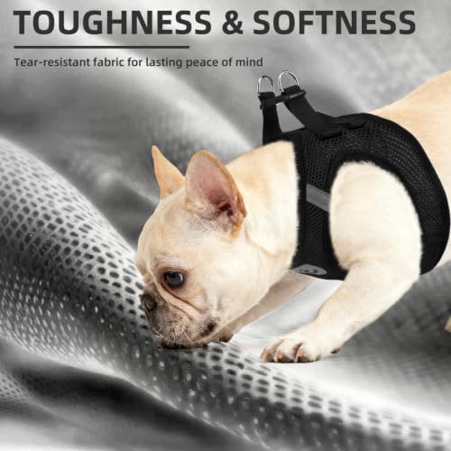 PUPTECK Dog Harness, Collar and Leash Set No Pull - Image 6