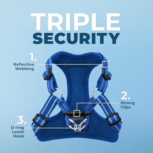 Best Pet Supplies Voyager Adjustable Step-in Flex Breathable Mesh Dog Harness - Image 2