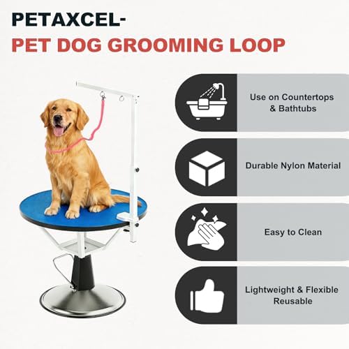 Pet Dog Grooming Loop, Dog Cat Safety Rope, Fluorescent Green - Image 4