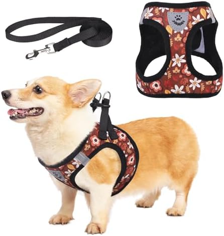 KOOLTAIL Fall Dog Harness and Leash Set by KOOLTAIL