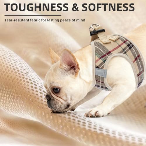 PUPTECK Adjustable Dog Harness Collar and Leash Set Step in No Pull Pet Harness - Image 6