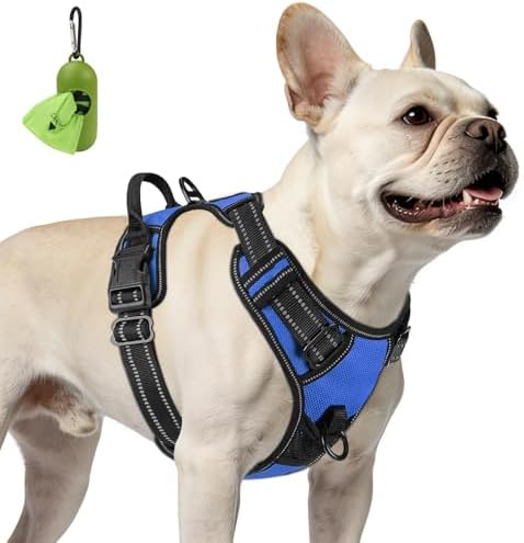 Joytale No Pull Dog Harness for Small Dogs, Front Clip by Joytale