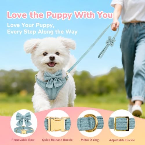 Small Dog Collar Harness and Leash Set - Image 7