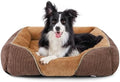 MIXJOY Dog Beds for Medium Dogs Washable, Calming Pet Bed Medium Size Dog by MIXJOY