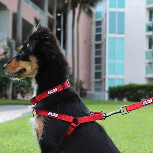Pawtitas Medium Orange Dog Harness - Image 2