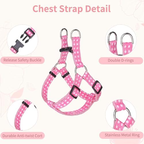 BINGPET No Pull Dog Harness Leash Collar Set, Adjustable Step-in Vest - Image 3