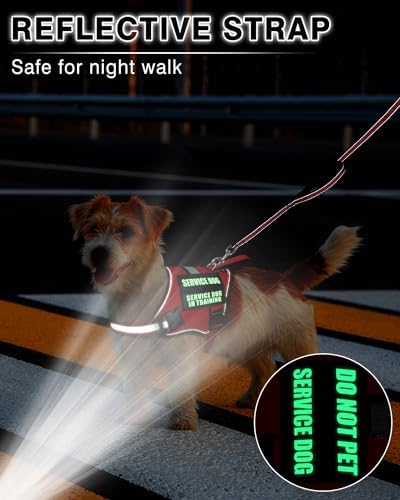 Service Dog Vest Harness and Leash Set+10 Patches Red XS - Image 5