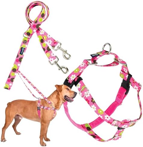 2 Hounds Design by 2HoundsDesign