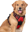 rabbitgoo Dog Harness, No Pull for Large Dogs by rabbitgoo