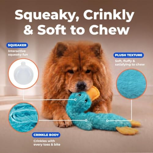 Best Pet Supplies 2-in-1 Stuffless Squeaky Dog Toy - Image 2