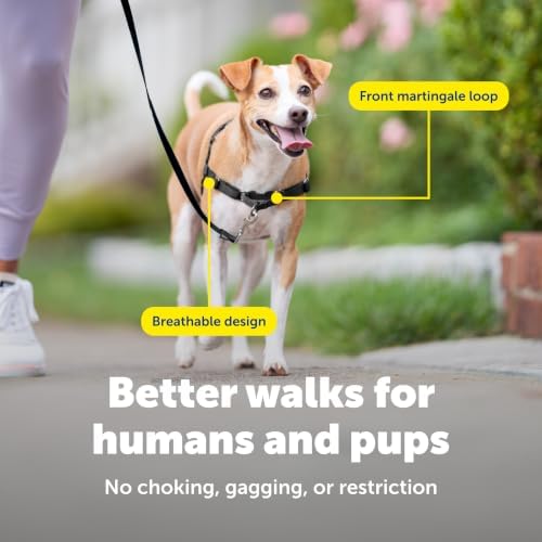 PetSafe Easy Walk Harness, No Pull Dog Harness, Petite/Small - Image 5