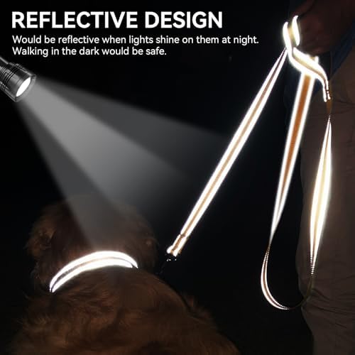 Joytale Reflective Dog Leash for Medium & Large Dogs, 5 FT x 1" - Image 4