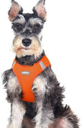 rabbitgoo Step-in Small Dog Harness, Puppy Vest by rabbitgoo