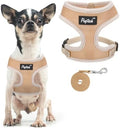 PUPTECK Small Dog Harness and Leash Set No Pull by PUPTECK