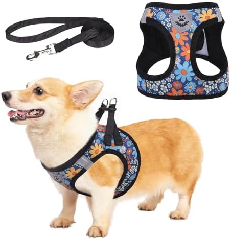 KOOLTAIL Dog Harness and Leash Set by KOOLTAIL