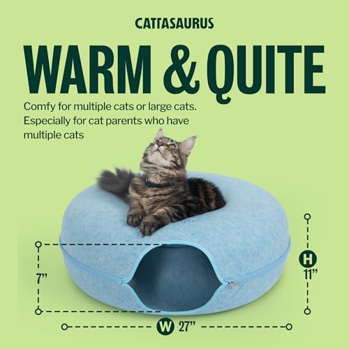 Cattasaurus Peekaboo Cat Cave Donut - Image 3