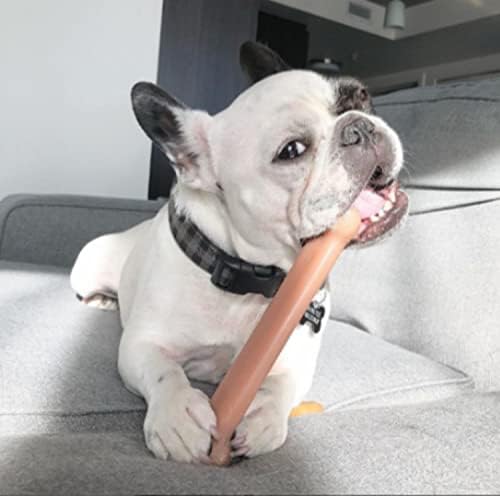Nylabone Power Chew Original Bone Dog Chew Toy, Bacon Flavor - Image 2