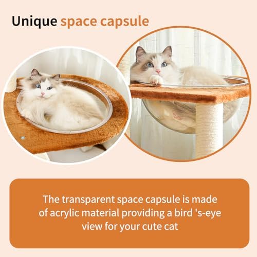 55.5-Inch Modern Cat Tree for Large Cats - Image 4