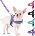 SlowTon No Pull Small Dog Harness and Leash Set by SlowTon