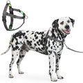 Freedom No Pull Dog Harness for Large Dogs by APDEXY%7CEspeciallyFurYou