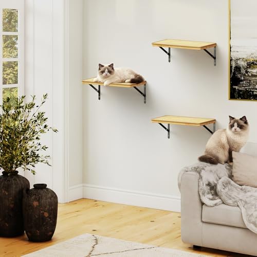 3Pcs 16.5"×10" Large Cat Wall Shelves - Image 2