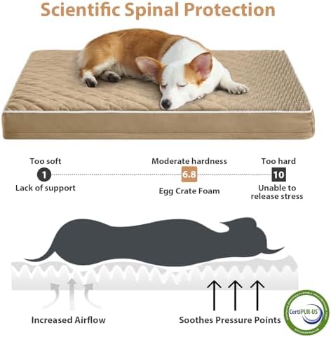 WNPETHOME Orthopedic Waterproof Large Sized Senior Dogs Bed - Image 3