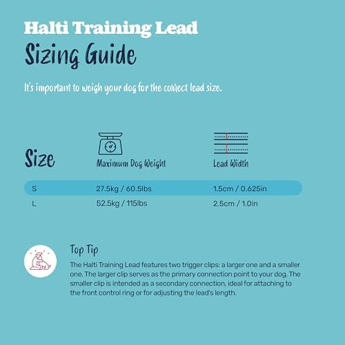 Halti Training Dog Leash | Size L, Burnt Orange | 2m Length - Image 5