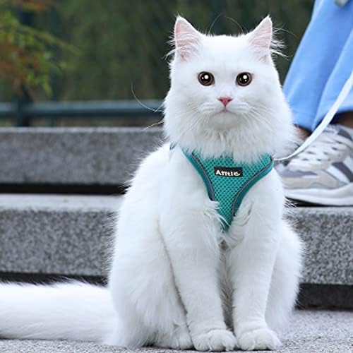 AIITLE Dog Harness and Leash Set, Step-in Puppy Pet Vest, Pure Turquoise M - Image 4