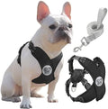 Pawaboo Small Dog Harness and Leash Set, Puppy Harness X-Frame Adjustable by Pawaboo