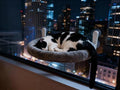 YGP Heavy-Duty Metal Frame Cat Window Perch by YGP